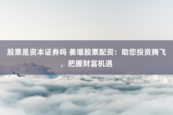 股票是资本证券吗 姜堰股票配资：助您投资腾飞，把握财富机遇